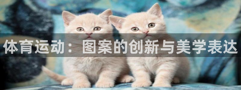 vsport体育官网下载平台注册流程视频：体育运动：图案的创