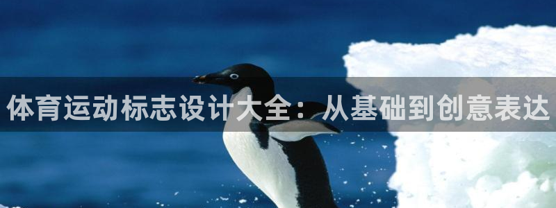 vsport体育官方正版app集团logo：体育运动标志设计