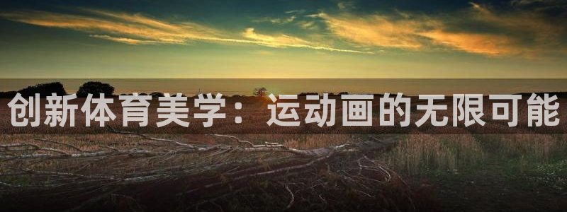 vsport体育官网下载招商：创新体育美学：运动画的