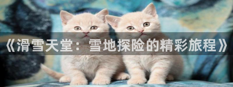 vsport体育官网下载招商电话号码：《滑雪天堂：雪地探险的