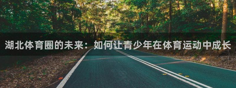 vsport体育官方正版app五金厂：湖北体育圈的未