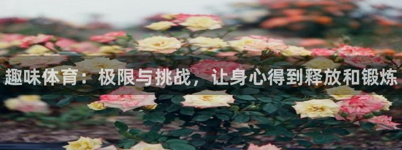 vsport体育官方正版app娱乐是那个系列的台子：