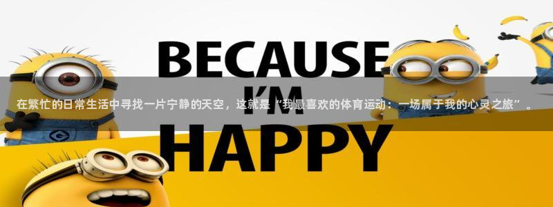 vsport体育官方正版app集团logo：在繁忙的