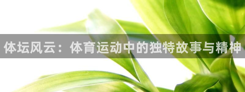 vsport体育官网下载招商电话号码是多少啊：体坛风