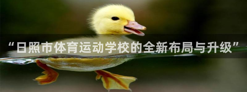vsport体育官网下载平台假的吗是真的吗：“日照市体育运动