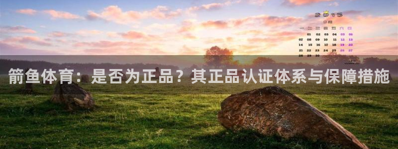 vsport体育官网下载注册：箭鱼体育：是否为正品？其正品认