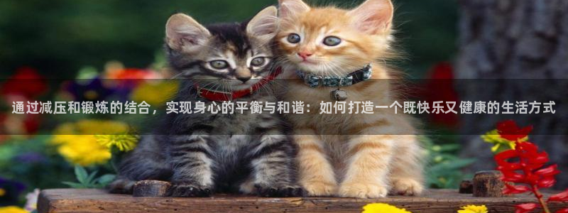 vsport体育官网下载平台假的吗是真的吗吗：通过减压和锻炼