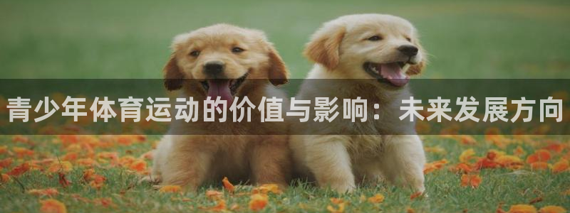 vsport体育官网下载平台是正规平台吗：青少年体育