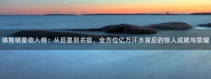 vsport体育官方集团官网：体育明星收入榜：从巨星到名宿，