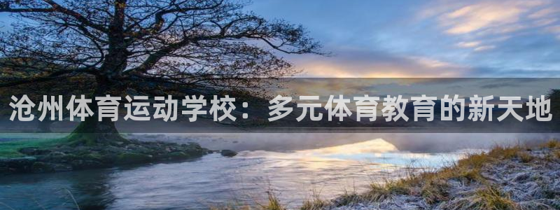vsport体育官网下载是干嘛的公司：沧州体育运动学