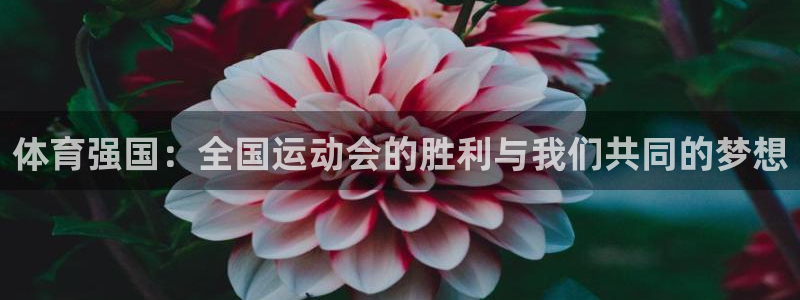 vsport体育官方正版app娱乐40996：体育强