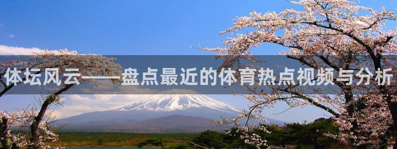 vsport体育官方正版app集团logo