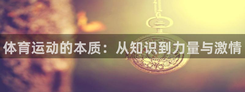 vsport体育官网下载招商电话