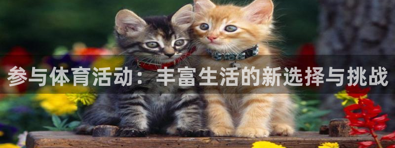 vsport体育官网下载娱乐:参与体育活动:丰富生活的新选择