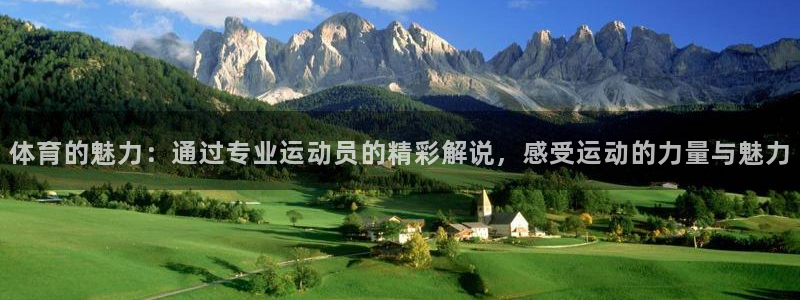 vsport体育官方正版app官网