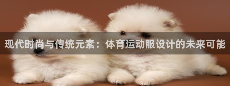 vsport体育官方正版app开户：现代时尚与传统元素：体育