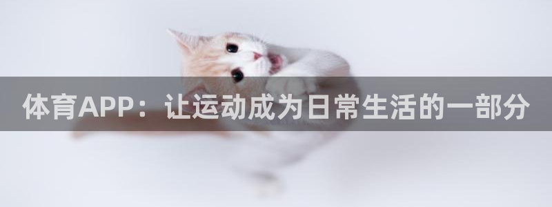 vsport体育官网下载平台是正规平台吗安全吗：体育APP：