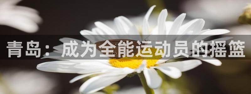vsport体育官网下载：青岛：成为全能运动员的摇篮