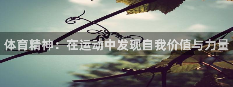 vsport体育官方正版app娱乐网站