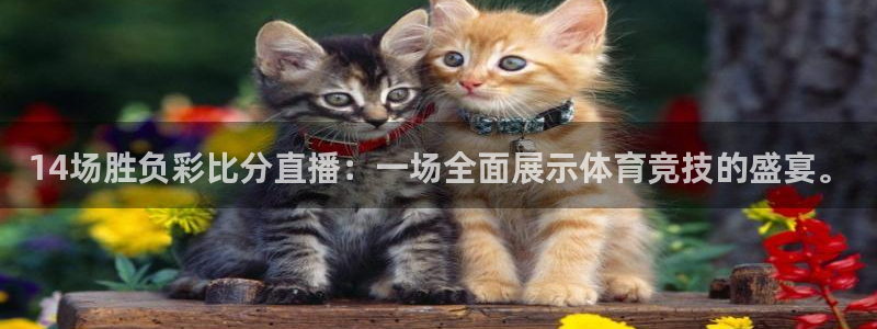 下载龙门体育直播：14场胜负彩比分直播：一场全面展示体育竞技的盛宴。