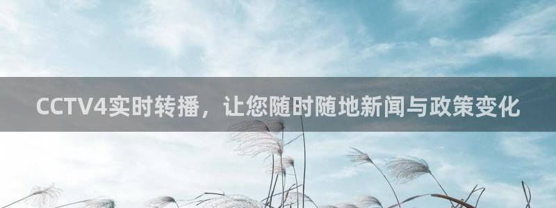 龙门nba直播：CCTV4实时转播，让您随时随地新闻与政策变化