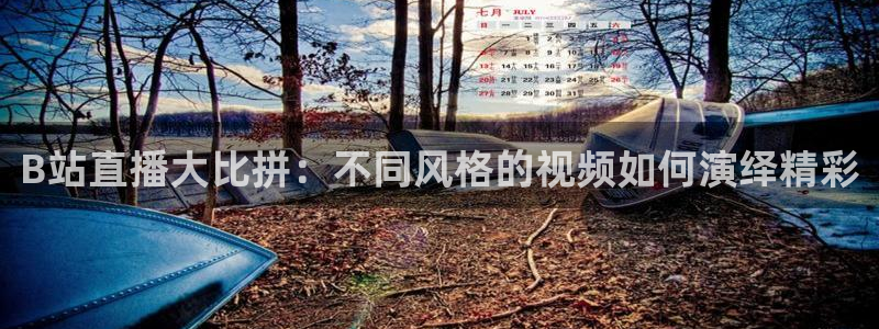 看球直播龙门直播：B站直播大比拼：不同风格的视频如何演绎精彩