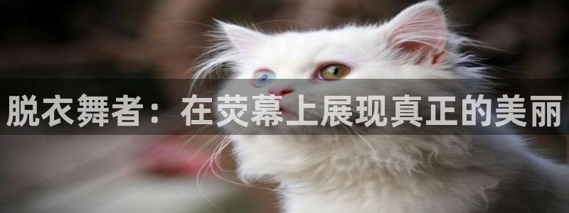 龙门直播nba免费直播下载：脱衣舞者：在荧幕上展现真正的美丽