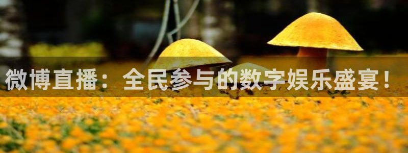 龙门足球直播：微博直播：全民参与的数字娱乐盛宴！
