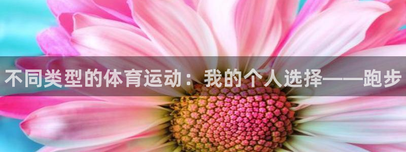 vsport体育官方正版app集团官网网址