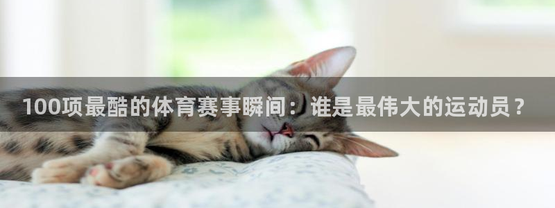 vsport体育官方正版app官方：100项最酷的体育赛事瞬