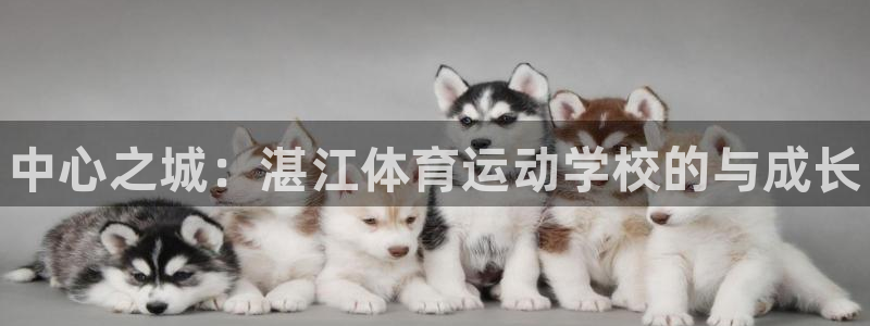 vsport体育官网下载招商电话号码