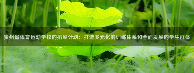 vsport体育官网下载平台：贵州省体育运动学校的拓展计划：