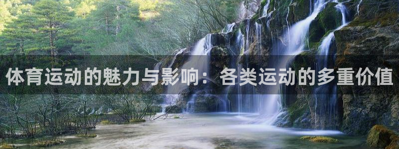vsport体育官网下载平台注册要钱吗安全吗：体育运动的魅力