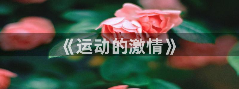 vsport体育官方正版app开户