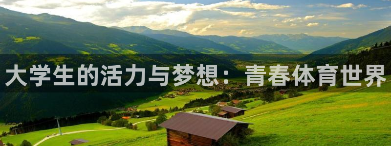 vsport体育官方正版app娱乐代理怎么样