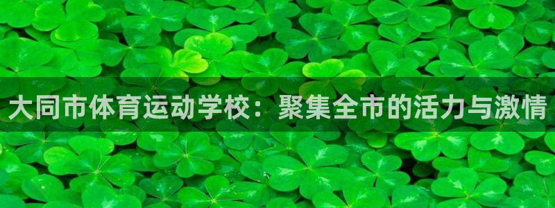 vsport体育官网下载平台是正规平台吗